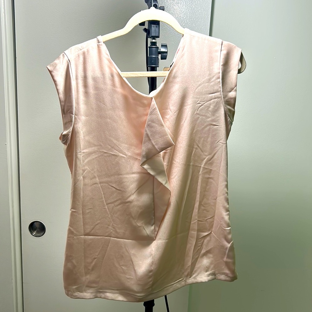 Nude blouse by the Limited size Medium